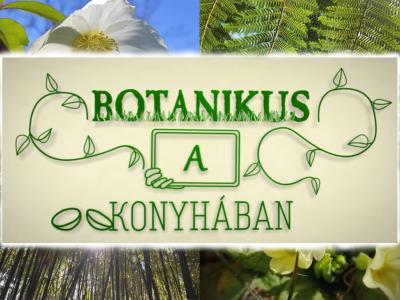 Botanikus a konyhában 8. rész - Angliai kékcsengő