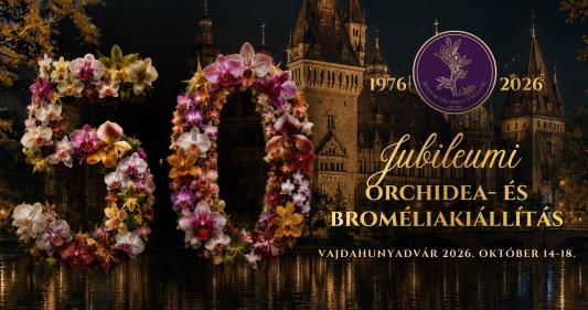 Egzotikus színkavalkád a Vajdahunyadvárban – Jubileumi kiállításra készül a Magyar Orchidea Társaság